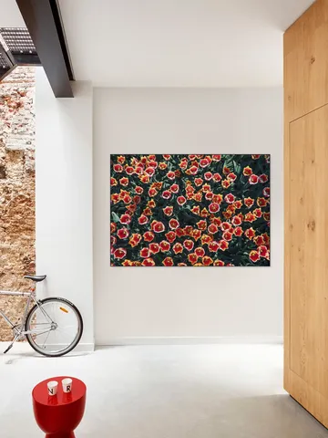 Floral Symphony
