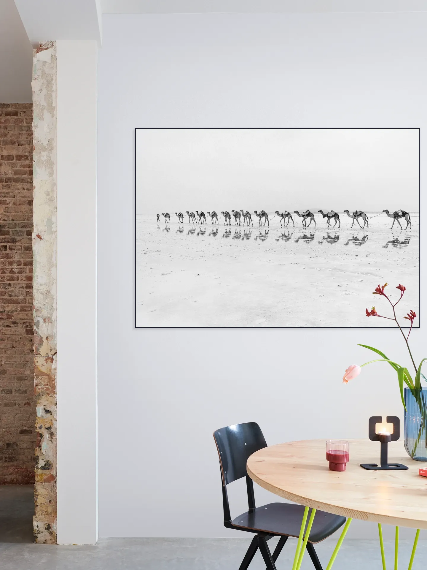 Salt Transport with Camels