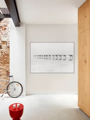 Salt Transport with Camels