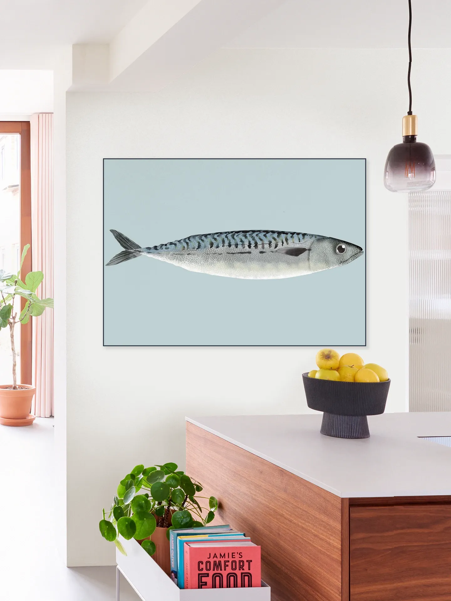 Mackerel
