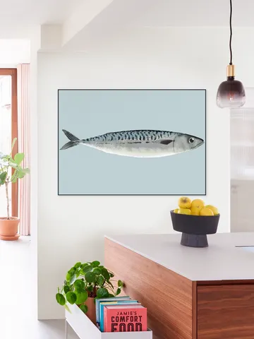 Mackerel