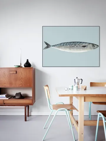 Mackerel
