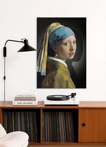 Girl with a Pearl Earring - the simply shaded edition