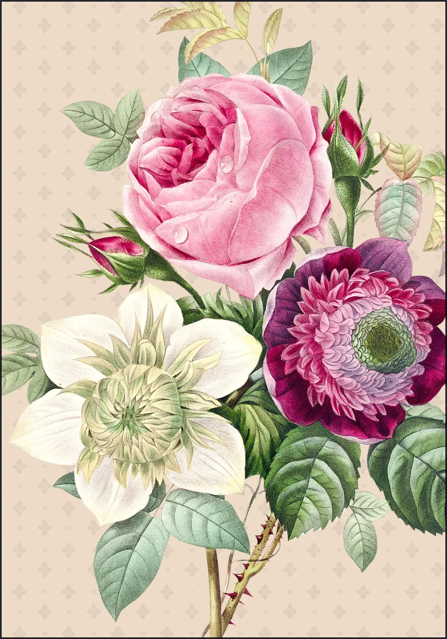 Vintage Redoute Peonies and Roses II