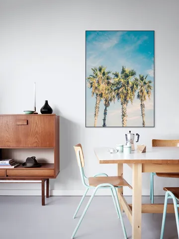 Barcelona Palm Trees