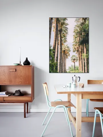 Palm Tree Lane