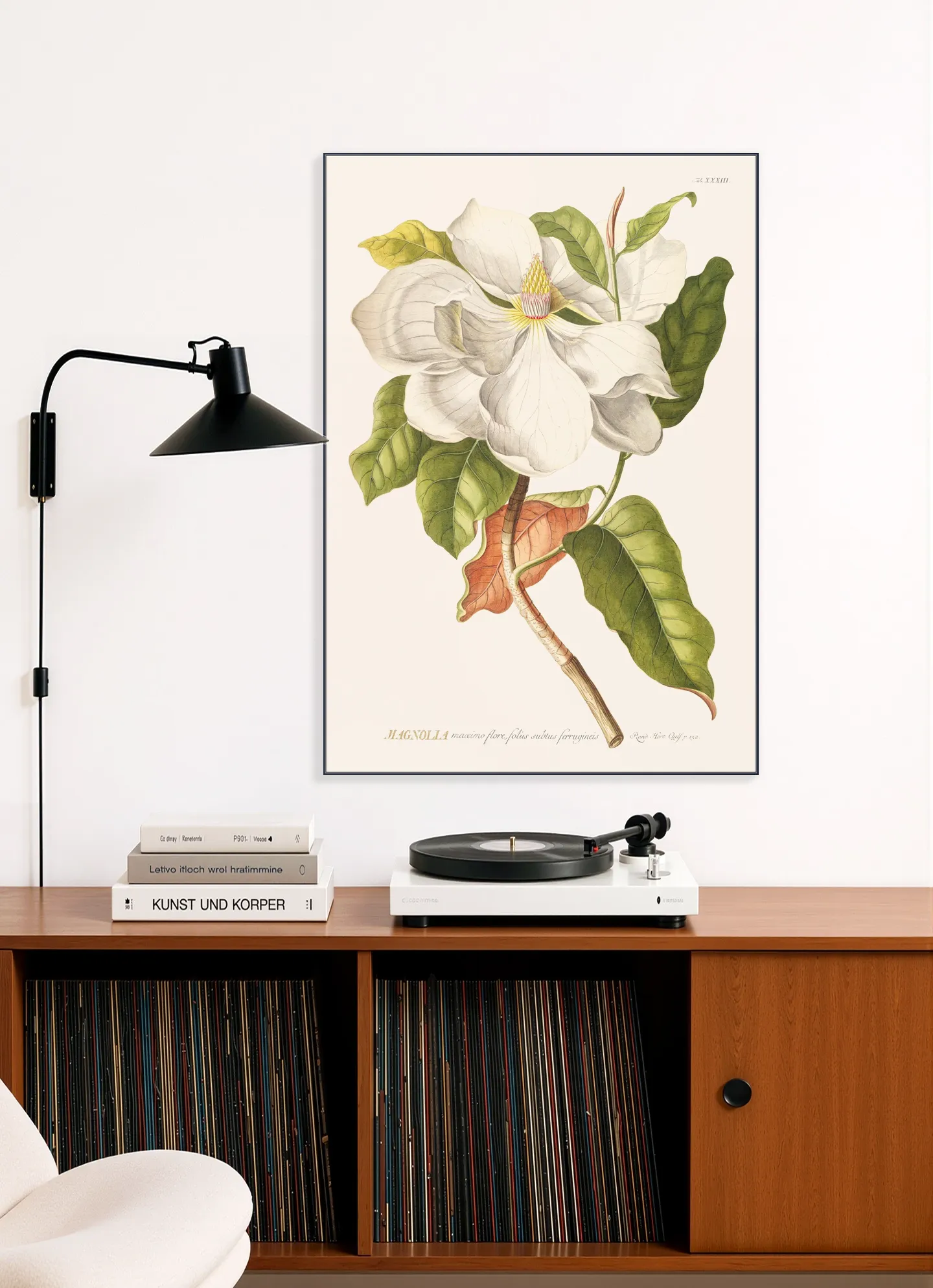 Magnolia