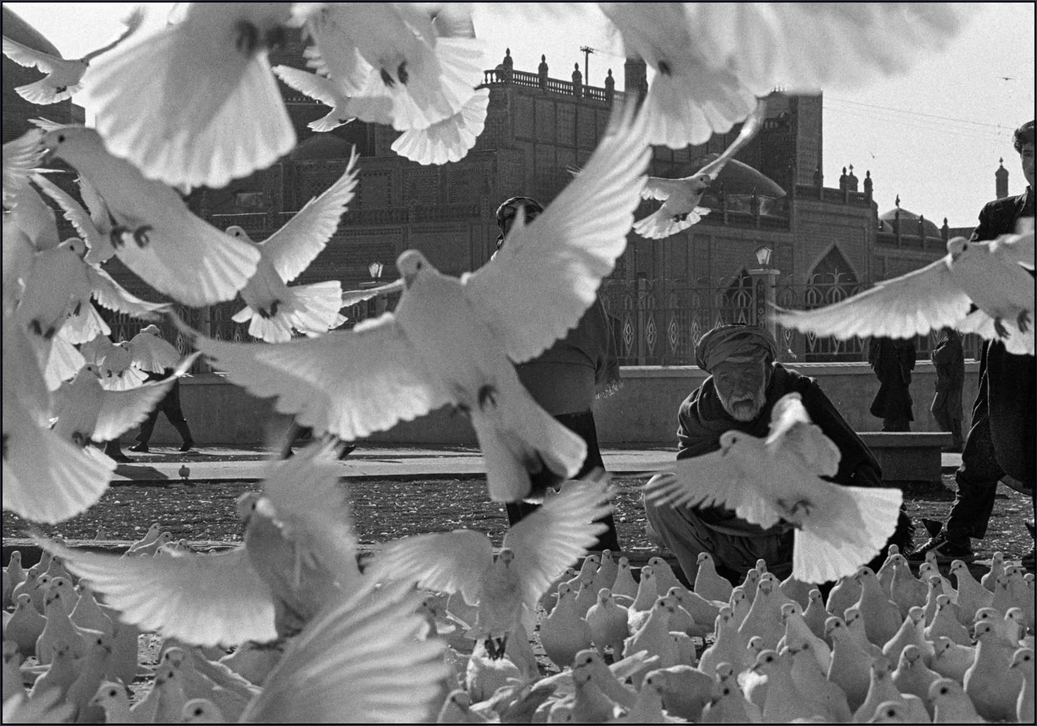 Doves Mazar