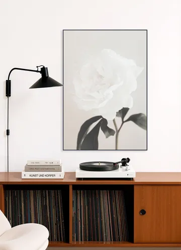 Peony 03