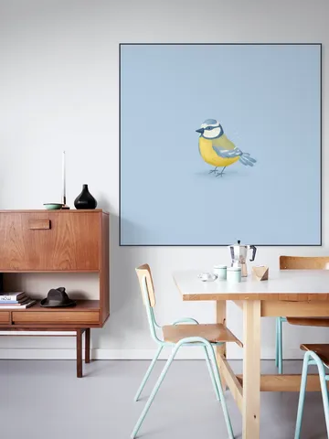 Blue Tit