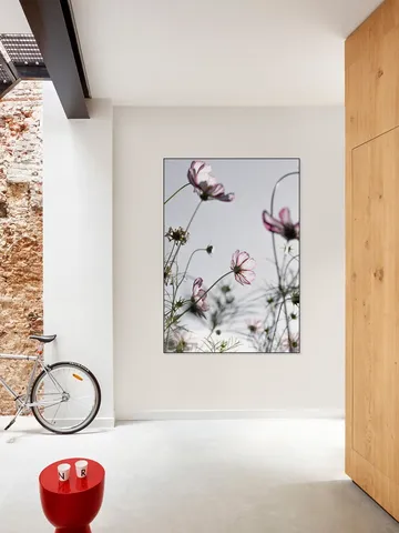 Wild Flowers