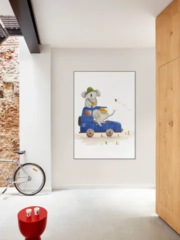 Bonjour Safari