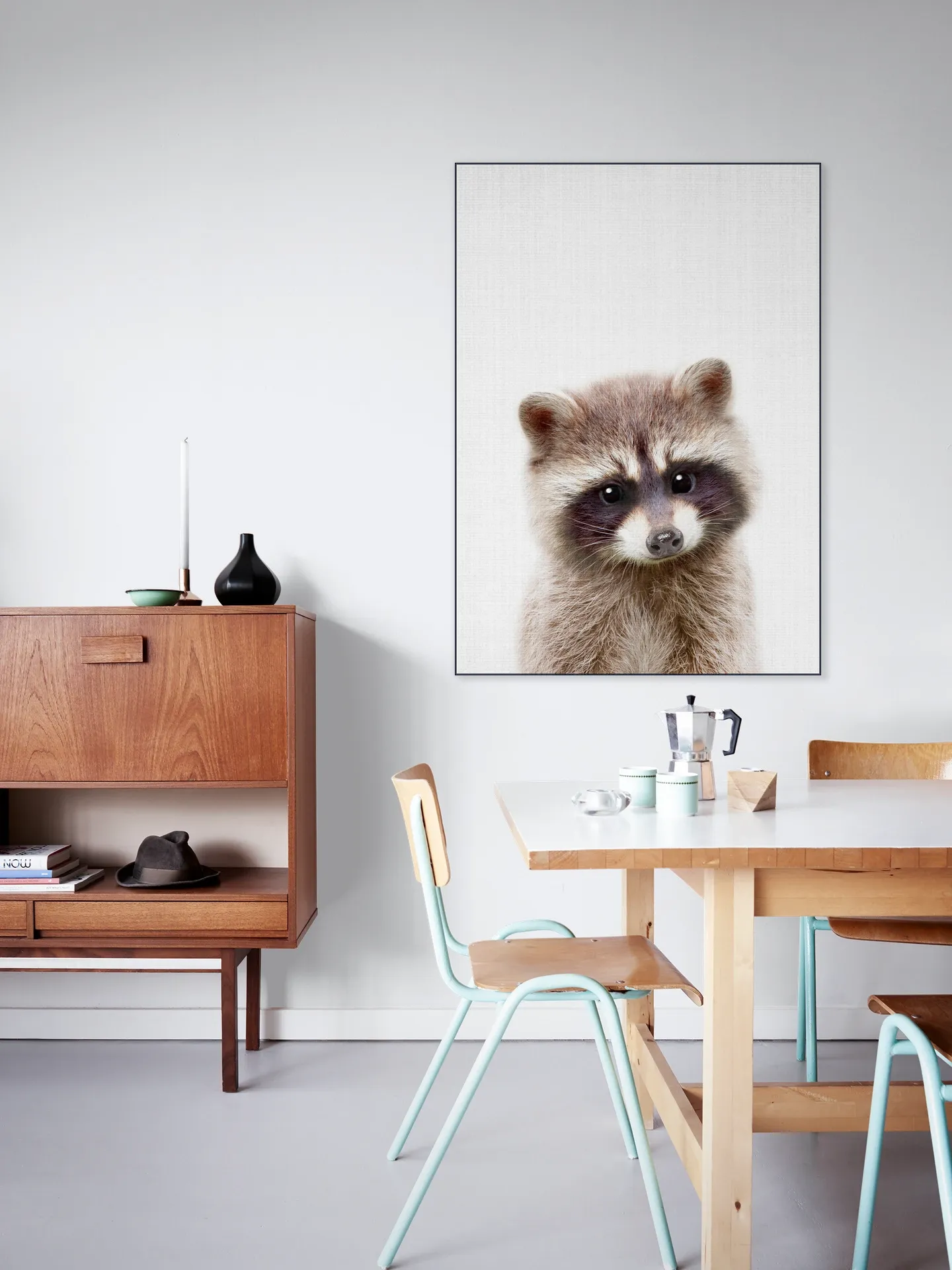 Raccoon