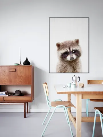 Raccoon