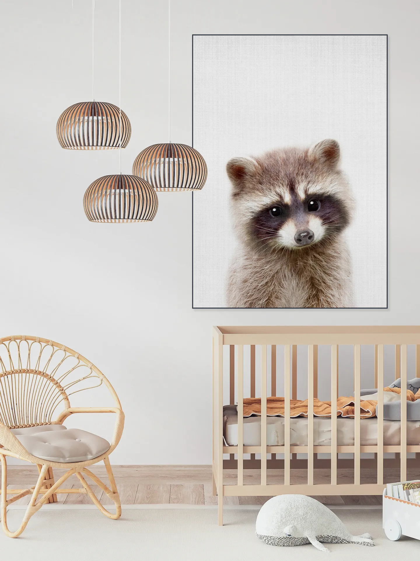 Raccoon