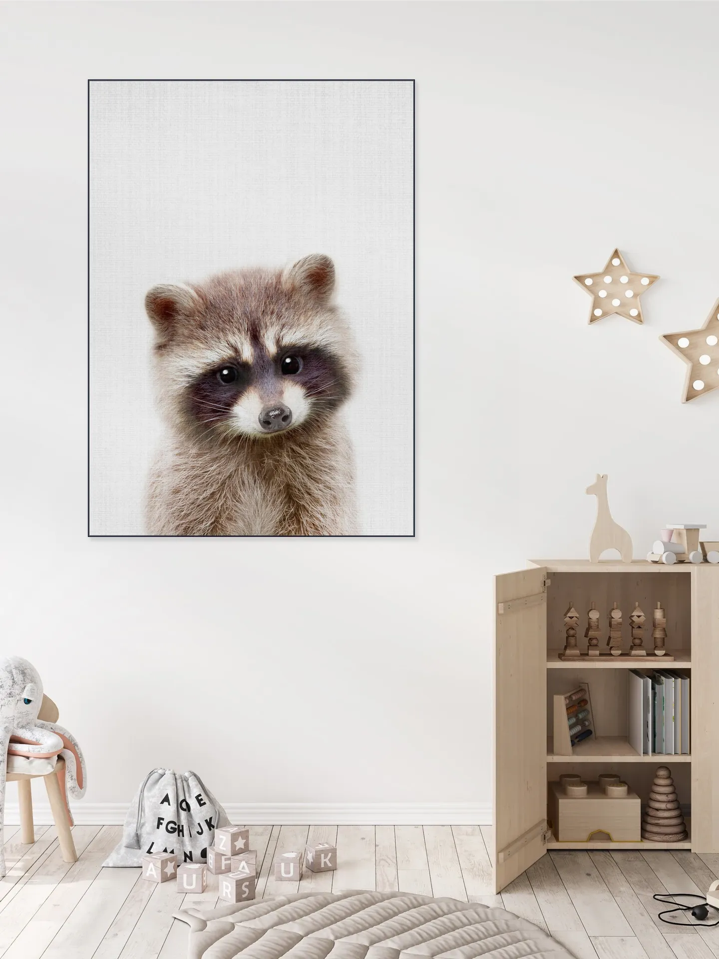 Raccoon