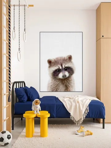 Raccoon