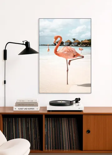 Flamingo Beach