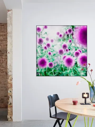 Dream Flowers Pink