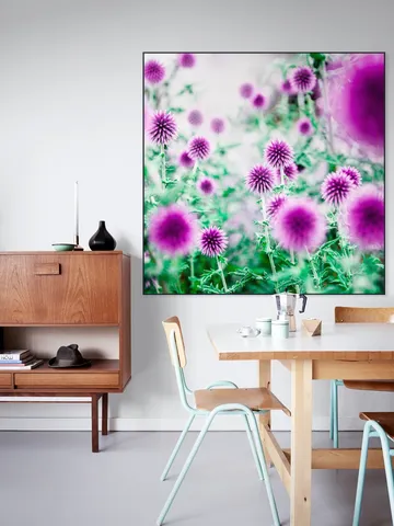 Dream Flowers Pink