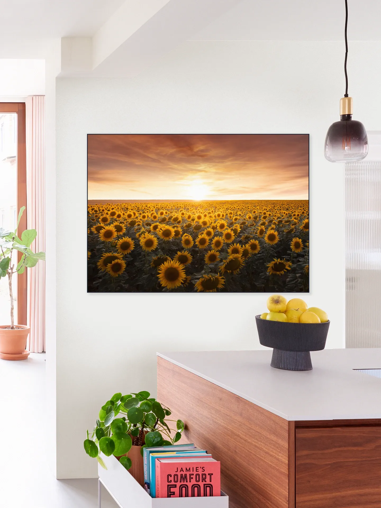 Sunflower Sunrise France 