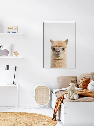 Alpaca