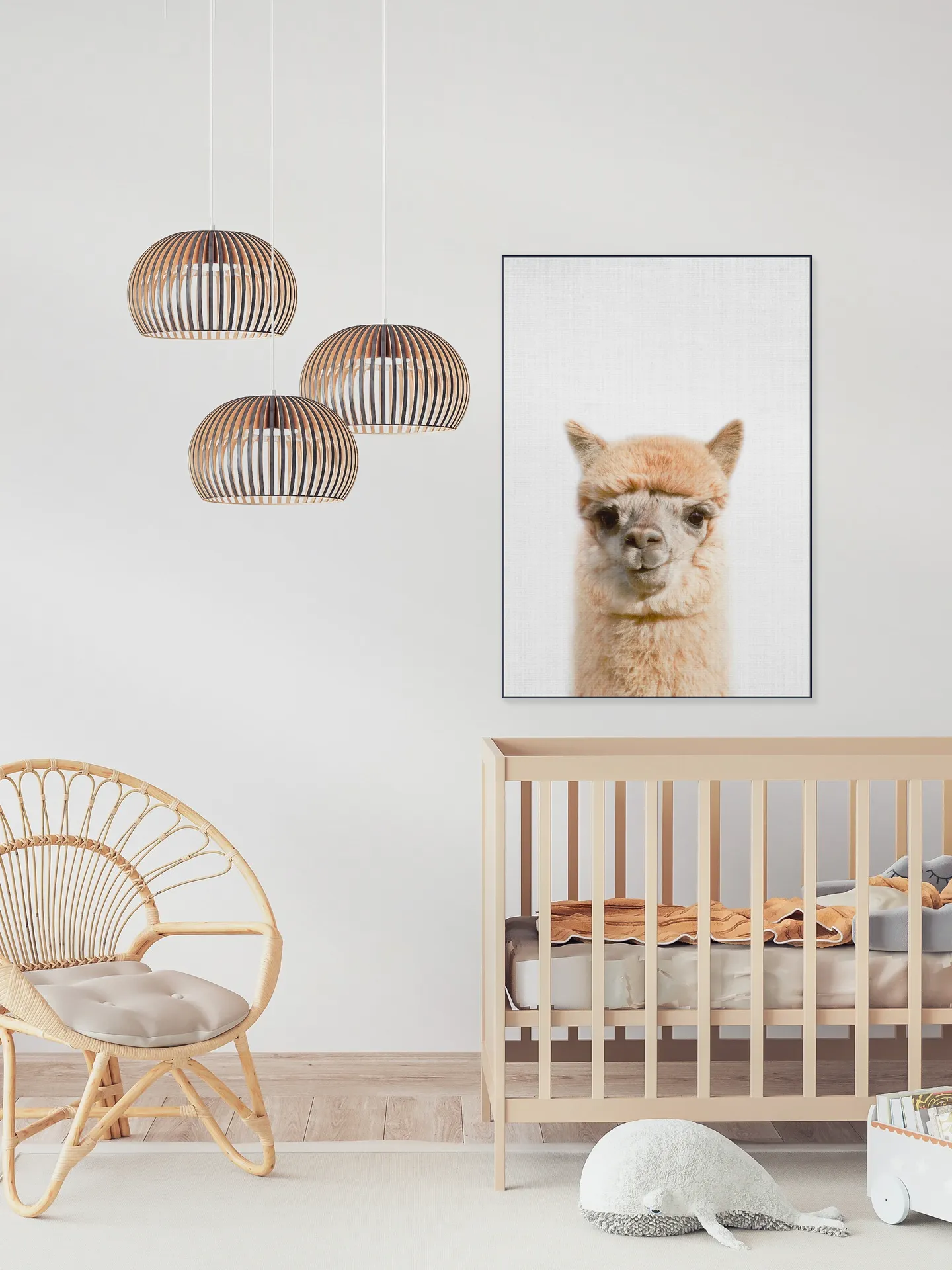Alpaca