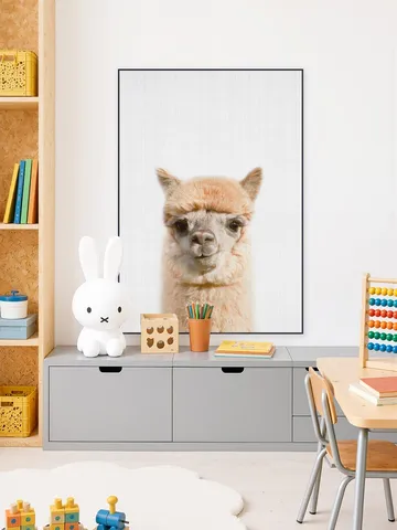 Alpaca