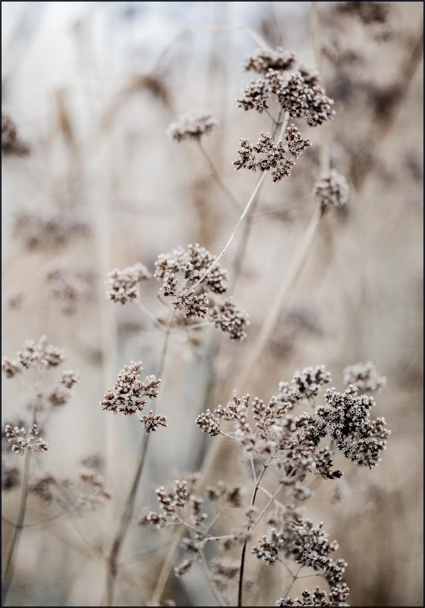 Unknown 8