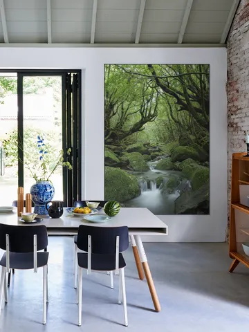 Mystical moss forest