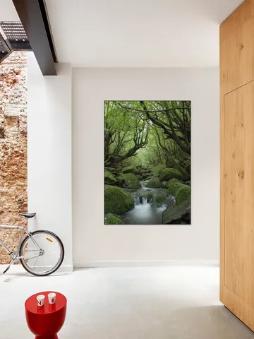 Mystical moss forest