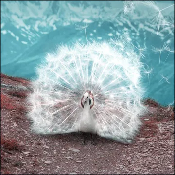 Temporary Beauty