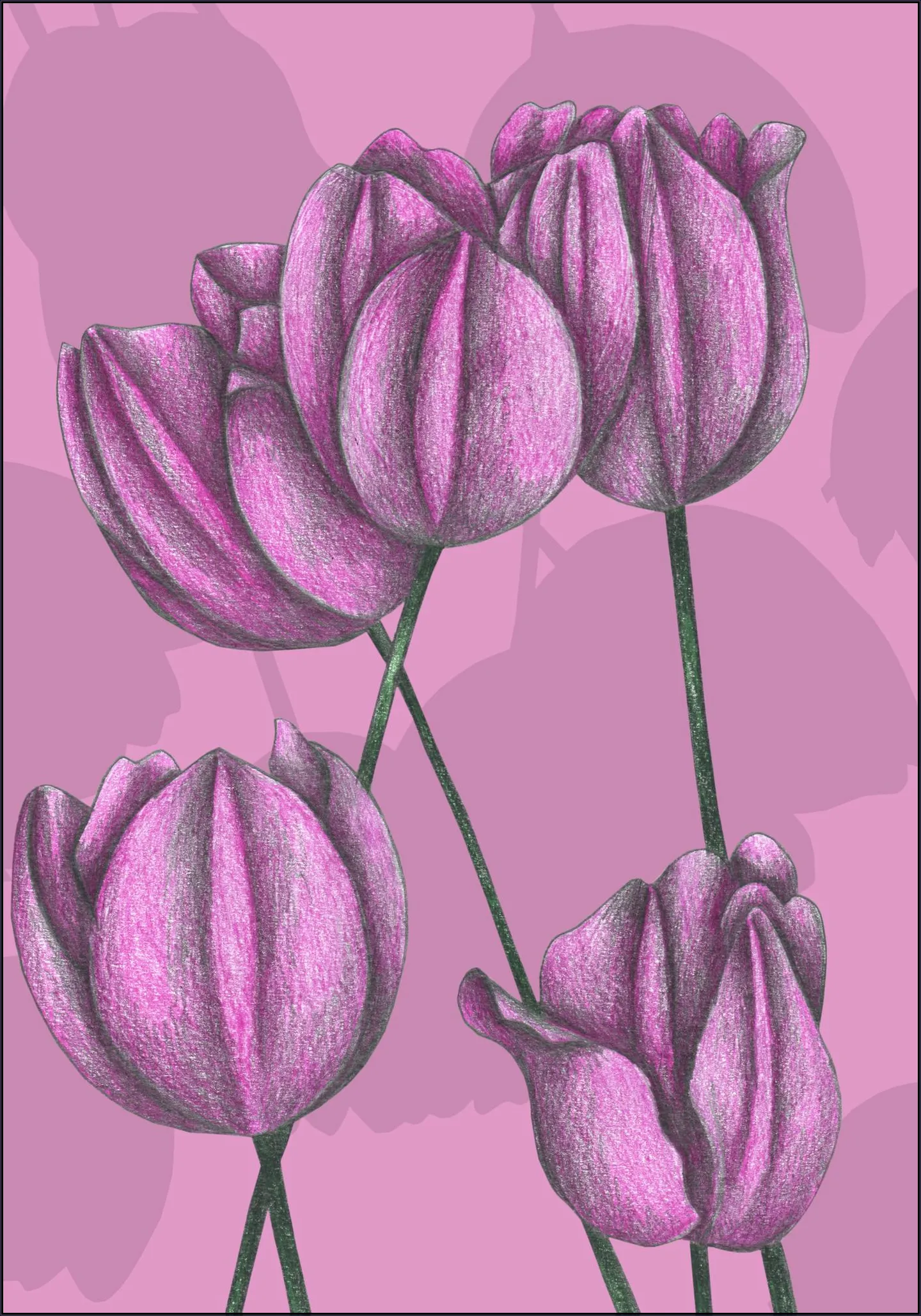 Purple Tulips