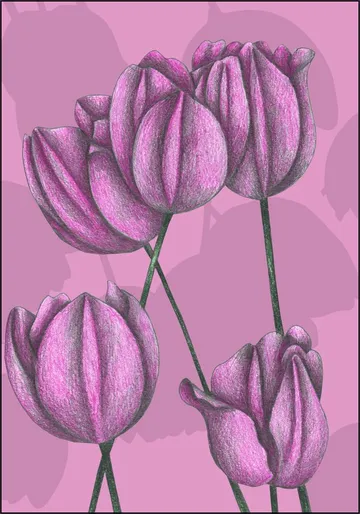 Purple Tulips