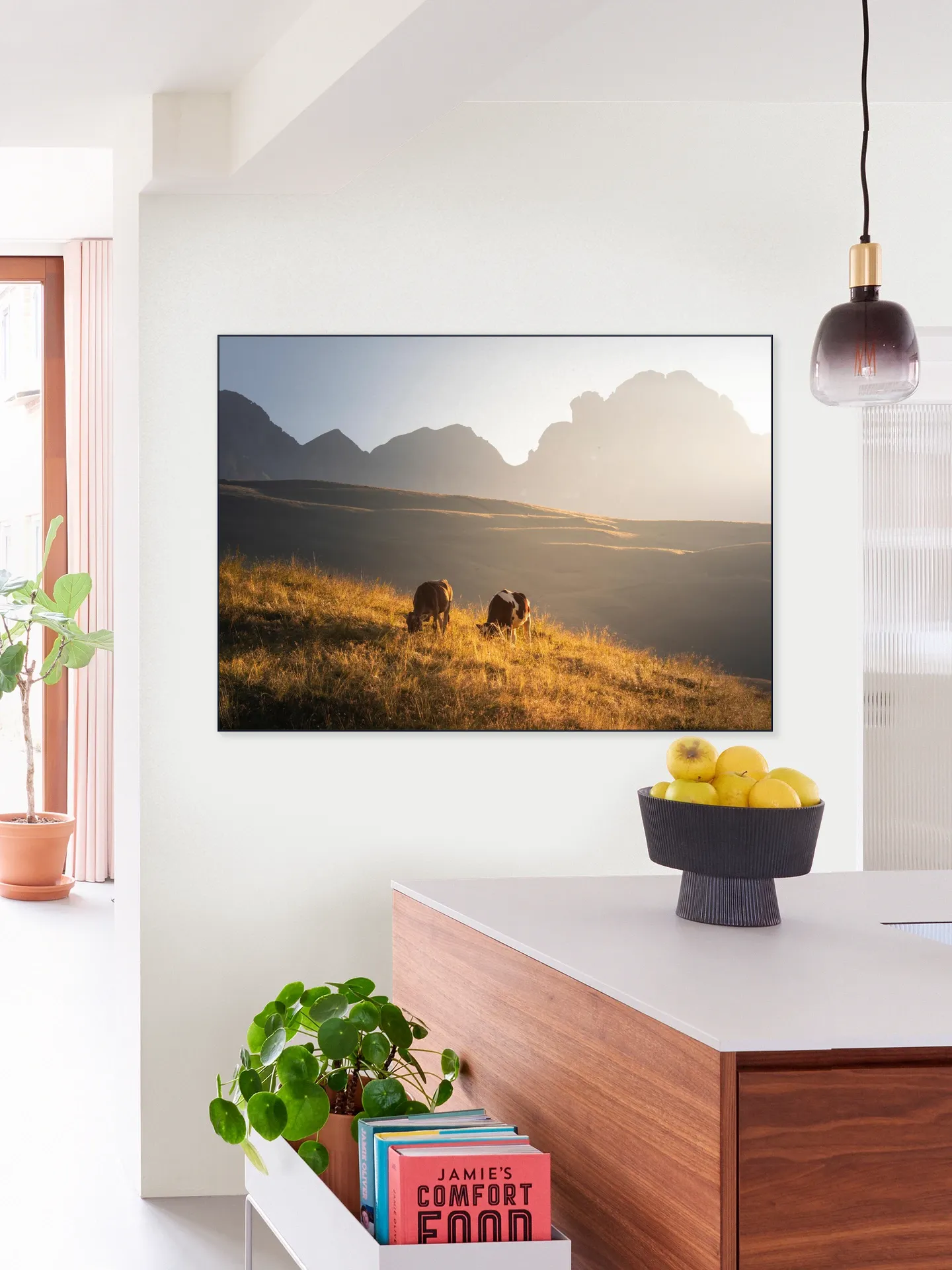 Trentino Cows in the Dolomites 