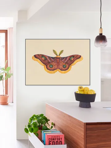 Butterfly Effect