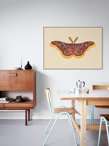 Butterfly Effect