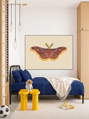 Butterfly Effect