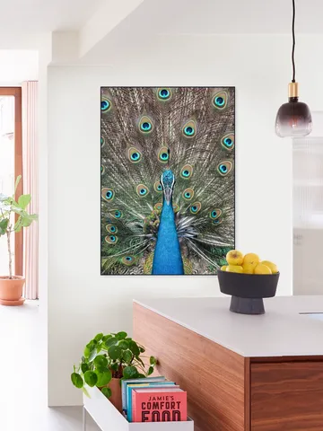 Peacock in India