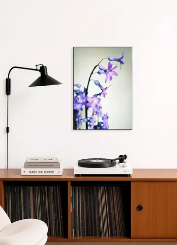 Hyacinth