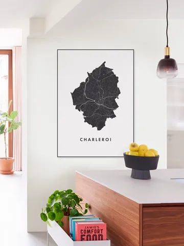 Charleroi City Map