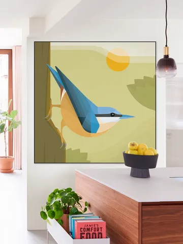 Nuthatch