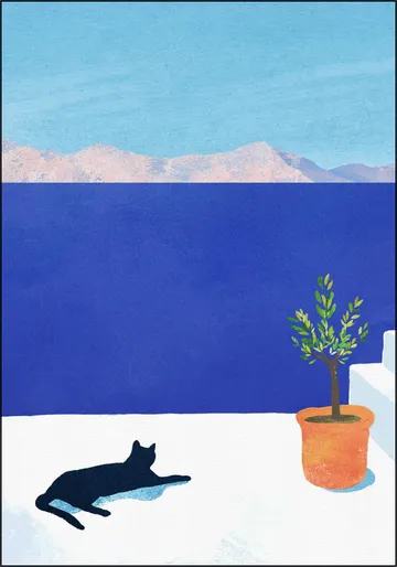 Cat Siesta