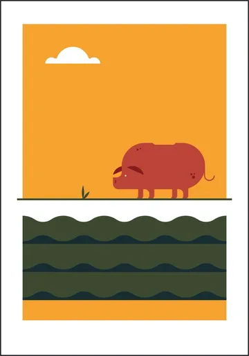 The Big 5 - pig