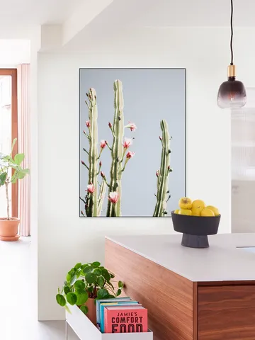 Cerus Cactus Flowers