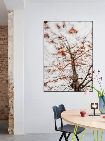 Autumn Tree
