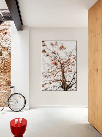 Autumn Tree