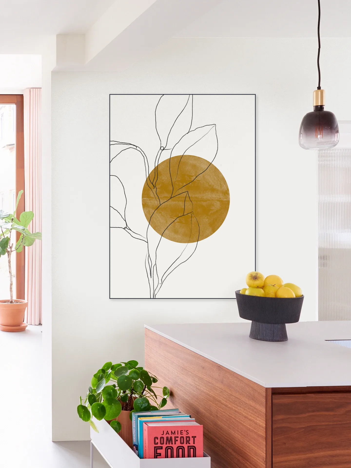 Plant and Sun