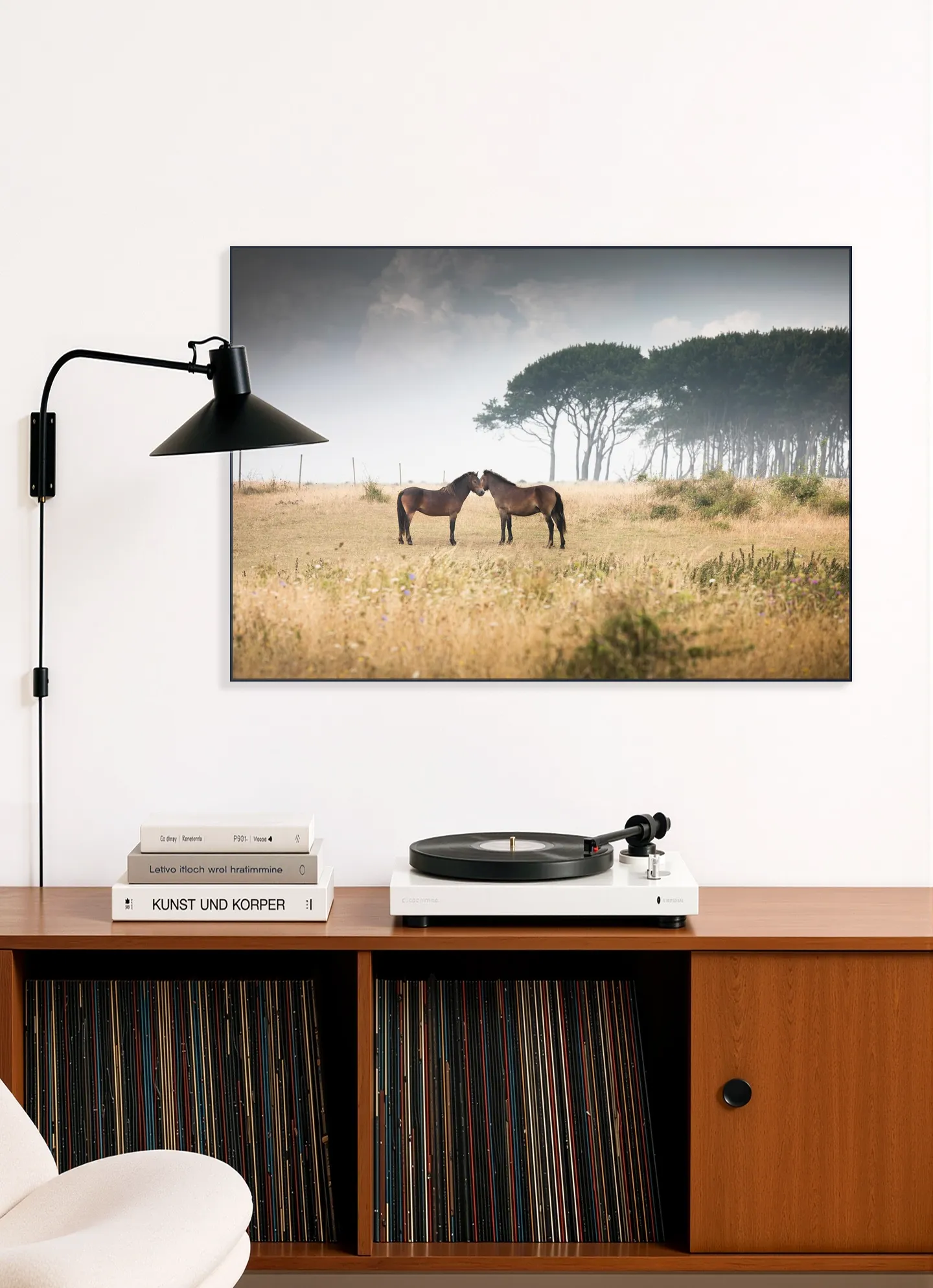 Vilde Heste Denmark Horses