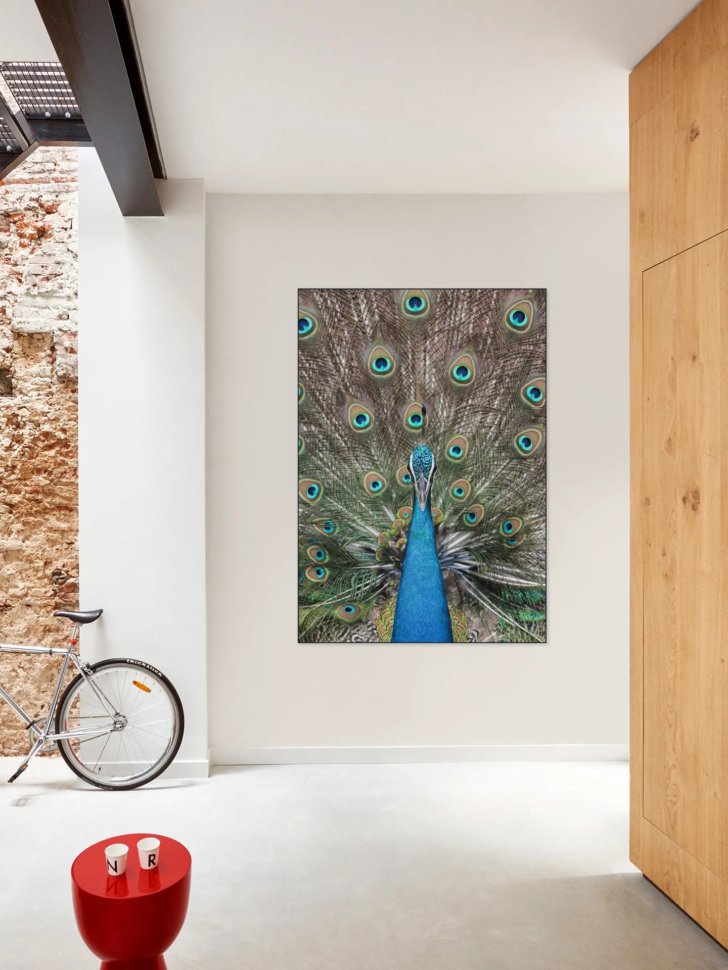 Peacock in India